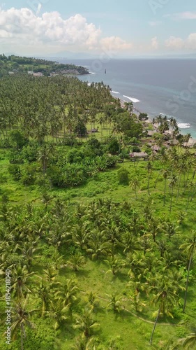 Lombok island area in Indonesia. Surrounded by jungle and palm trees. Aerial videos.
