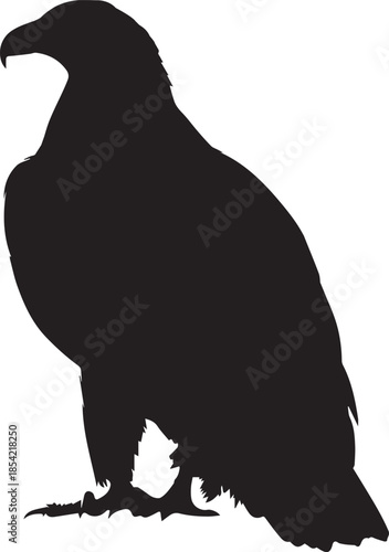 Eagle bird silhouettes flying wings isolated vector design
isolated on white background