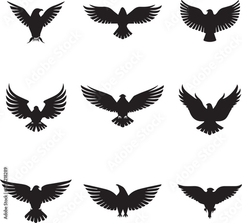 Eagle bird silhouettes flying wings isolated vector design
isolated on white background