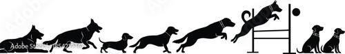 Silhouette of dogs in motion sequence, black illustration, agility training, jump, hurdle, ball, sit, run, progression