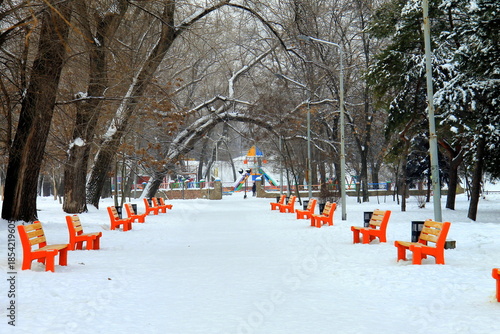 Winter city street, landscape of a park covered with white snow with orange and yellow wooden benches and tall trees.