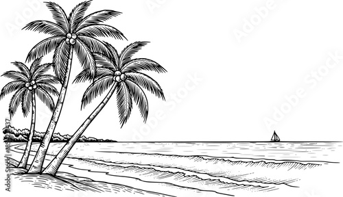 Vintage hand-drawn beach scene featuring palm trees, ocean waves
