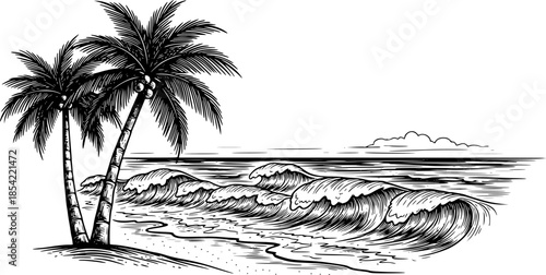 Vintage hand-drawn beach scene featuring palm trees, ocean waves
