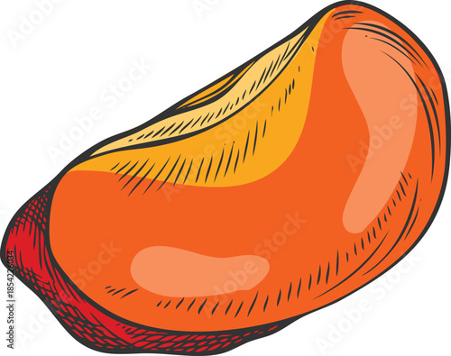 Acerola berry slice sketch, Barbados red cherry piece, hand drawn fresh ripe exotic fruit superfood vector illustration