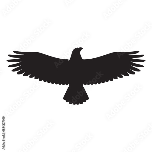 Flying Eagle Silhouette
