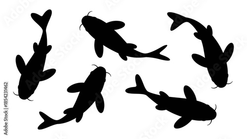 A collection of six black fish silhouettes swimming in different directions.