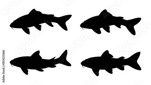 A collection of four black silhouettes depicting various types of fish