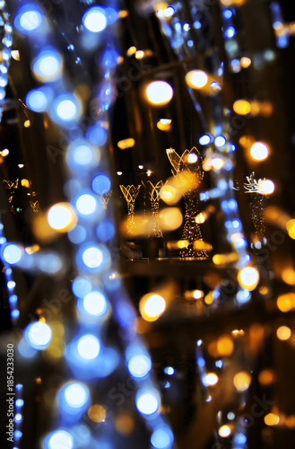 Rzeszow, a Polish city illuminated for Christmas.