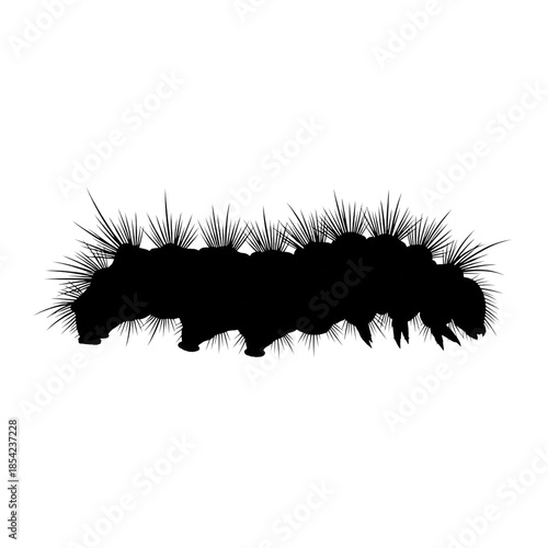 dense black silhouette of a segmented hairy caterpillar larva crawling in precise profile against a pure white background, scientific illustration concept