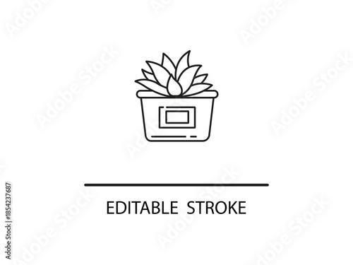 Simple line art succulent plant in modern pot design.