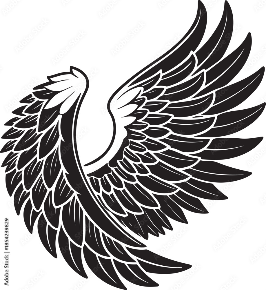 Fototapeta premium Detailed Eagle Wings Illustration