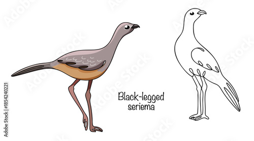 Black-legged seriema