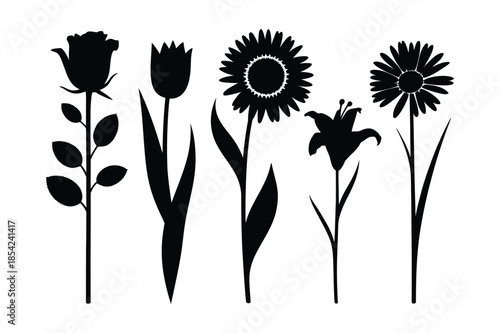 Botanical Flower Silhouettes and Plant Stems Collection