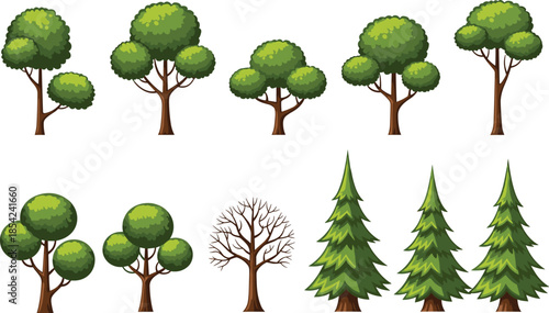 Cartoon tree illustration set featuring deciduous and evergreen forest plants isolated on white background colorful flat vector design