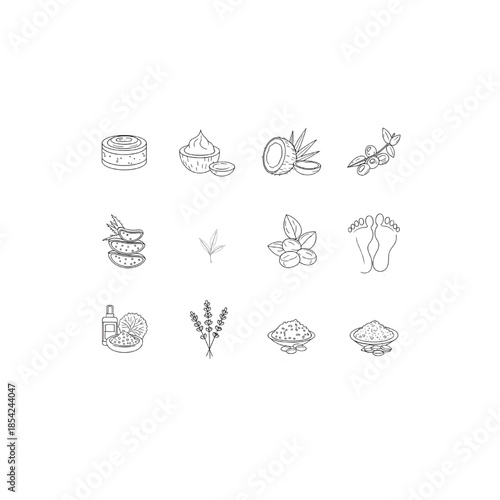  Botanical ingredients for winter foot care: shea butter, coconut oil, jojoba oil, aloe vera, tea tree oil, glycerin, lavender oil, and oatmeal.