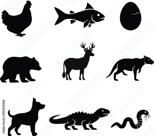 Collection of diverse animal silhouettes on white background