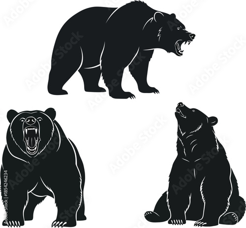 Three majestic bear silhouettes in various poses showcasing their power and expressions