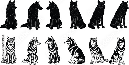 Wolf silhouette and detailed illustration vector set featuring sitting howling wild canine poses isolated on white background design collection