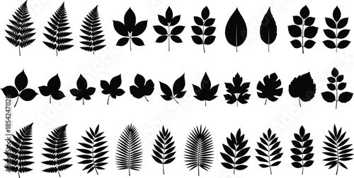 Leaf silhouette collection featuring diverse botanical foliage shapes including fern and plant leaves isolated on white background vector illustration