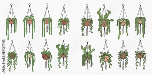 Collection of various macrame hanging planters with different types of green plants and succulents.