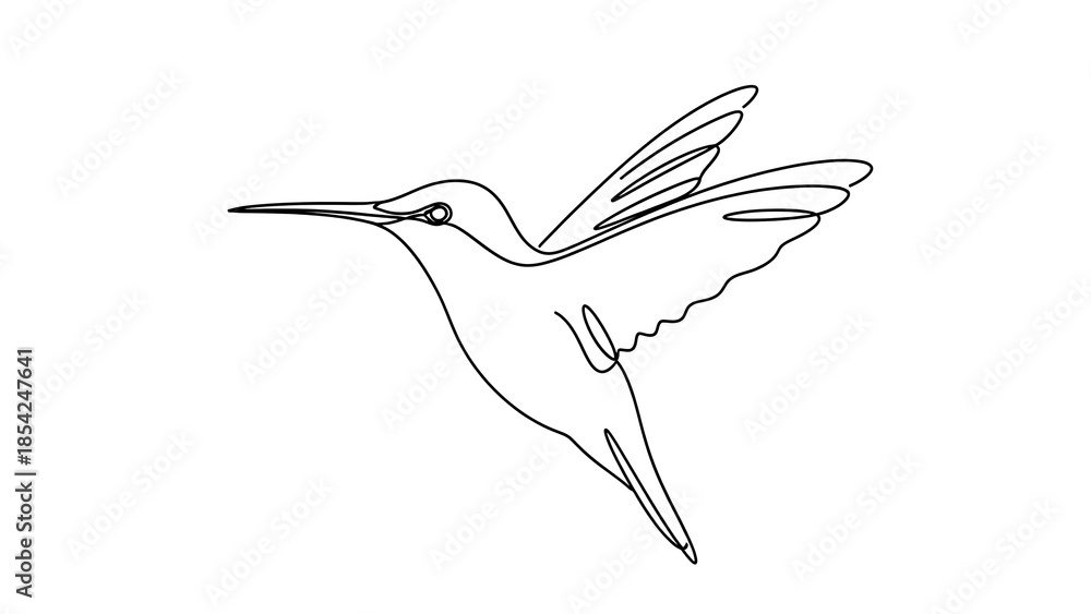 Fototapeta premium Minimal black and white hummingbird in flight isolated on a transparent background