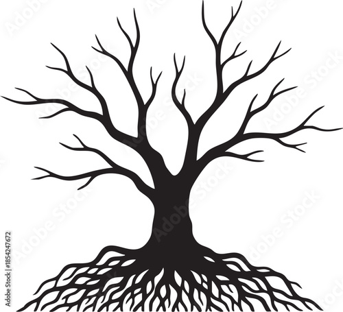 Dead Swamp Tree with Exposed Tangled Stilt Roots Silhouettes isolated on white background
