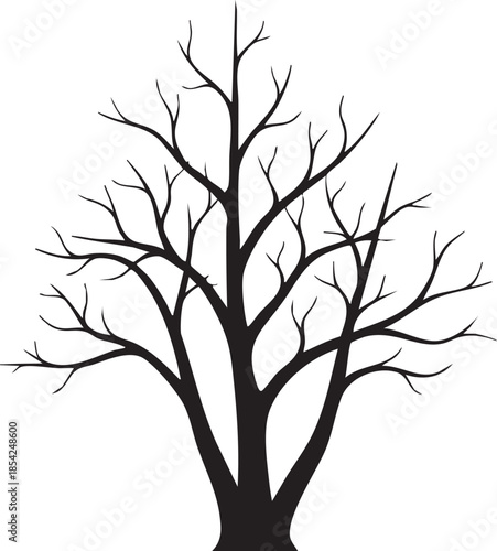 Large Dead Tree with Triple Split Upward Growing Trunks Silhouettes isolated on white background