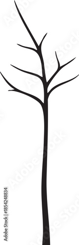 Small Young Dead Sapling with Thin Trunk and Barren Twigs Silhouettes isolated on white background
