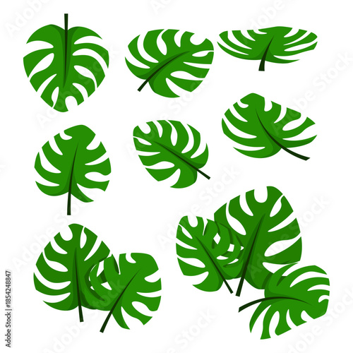 Tropical Monstera Leaves Collection in Flat Style