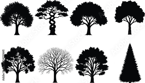 Tree silhouette set with diverse deciduous and evergreen shapes natural forest botanical elements isolated on white background vector illustration