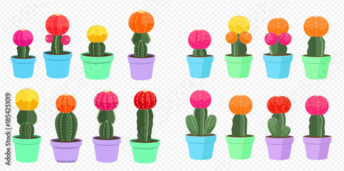 Vibrant collection of potted moon cacti in various colors and shapes, perfect for home decor or graphic design projects.
