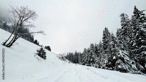 Winter landscape with trees