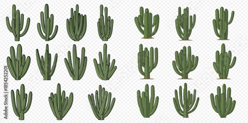Collection of various green desert cactus plants in different shapes and sizes, isolated on a transparent background.