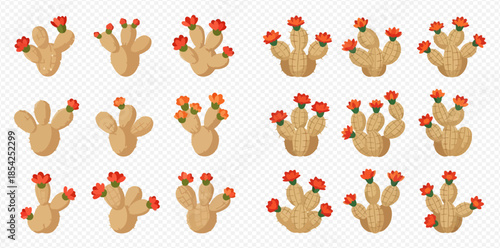 Set of blooming prickly pear cactus plants with red flowers, isolated on transparent background.