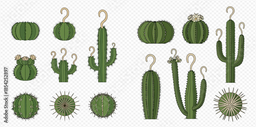 Set of various green cactus plants with question marks, isolated on a transparent background.