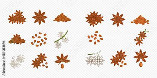 Star Anise Spice Set: Whole Pods, Seeds, Ground Powder, and Blossoms for Culinary Use.