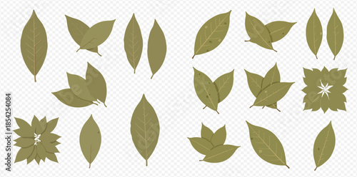 Set of dry bay leaves, laurel spice for cooking, seasoning food, and herbal medicine.