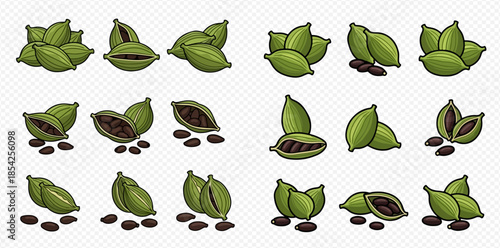 Set of green cardamom pods with seeds, whole and opened, isolated on transparent background.