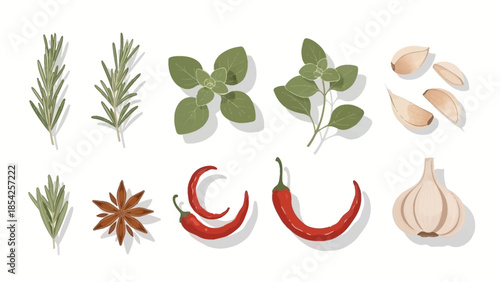 Fresh herbs and spices A colorful illustration of rosemary, oregano, chili peppers, and garlic