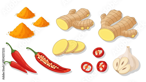 Vibrant Spice Assortment Chili Peppers, Ginger, Turmeric, and Garlic Illustration