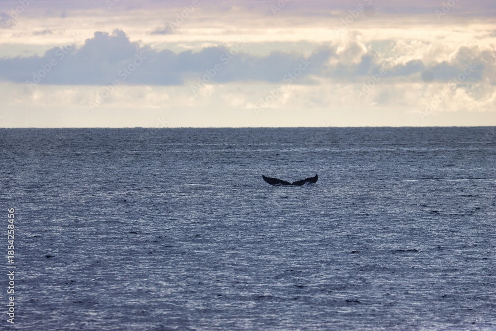 Fototapeta premium Maui, Hawai'i, USA