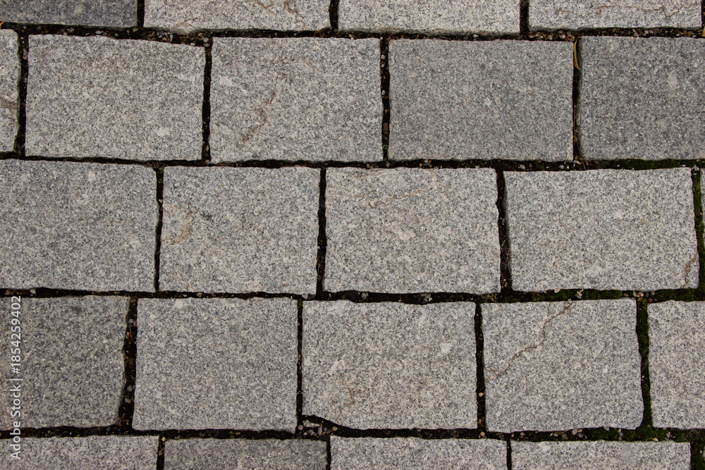 Obraz premium Textured gray stone pavers arranged in a geometric pattern, showcasing the natural variations and imperfections of the surface in an outdoor setting with earthy tones