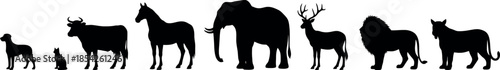 Silhouette of diverse animal group in black on white background silhouette
