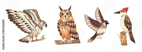 Wild forest bird set with owl, hawk, woodpecker and sparrow