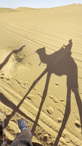 Camel riding among the dunes of the sandy Merzouga Desert. The shadow of the camel caravan falls on the sand. Travel to Morocco, Sahara Desert.