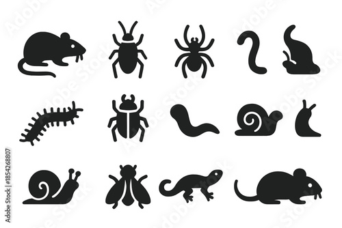 Hidden Dwellers Icons. Solid style icons of Hidden Dwellers: Rat, Cockroach, Ant, Spider, Centipede, Beetle, Worm, Slug, Snail,
