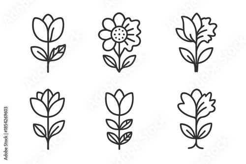 Era-Blossom Hybrid Icons. Line style icons of era-blossom hybrids: half-modern, half-ancient flower, dual-style petal contrast,