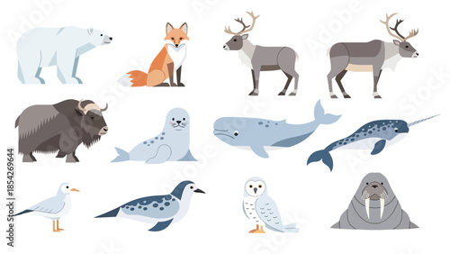 Arctic Wildlife Collection Illustrations of Polar Bears, Foxes, Reindeer, and More in a Vector Style