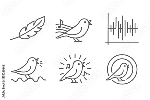 Bird Song Patterns. Line style icons of bird songs creating visual sound patterns: feathered soundwave, melodic flight path, chirp