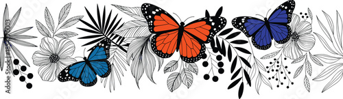 Colorful monarch butterflies on tropical floral border, hand drawn botanical line art with orange and blue insects, nature design element